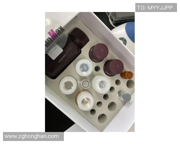 Elisa比赛-Elisa比赛，音乐与激情的碰撞-Elisa比赛